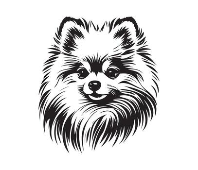 pomeranian toy